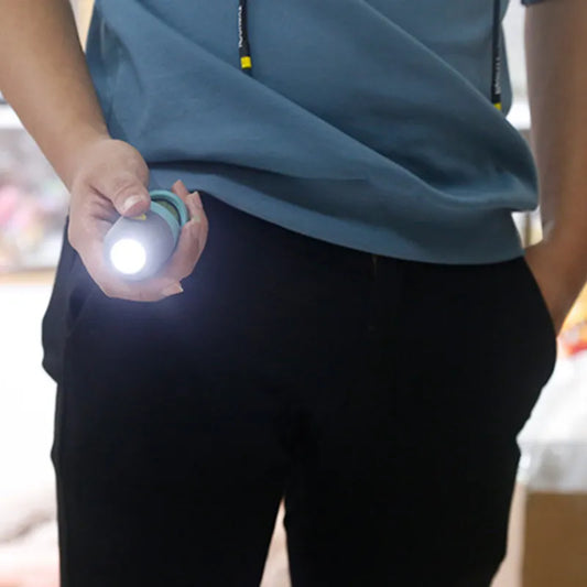 LED Pet Waste Bag Dispenser Organizer