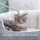 Funny Cat Comb Toy Sticker