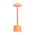 Funny Cat Comb Toy Sticker